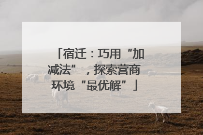 宿迁：巧用“加减法”，探索营商环境“最优解”