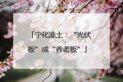 宁化淮土：“光伏板”成“养老板”