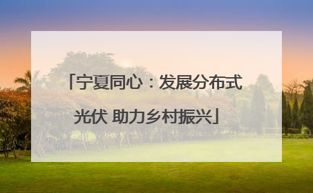 宁夏同心：发展分布式光伏 助力乡村振兴