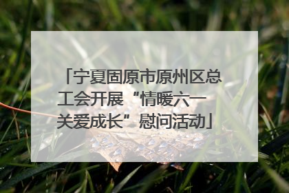 宁夏固原市原州区总工会开展“情暖六一 关爱成长”慰问活动
