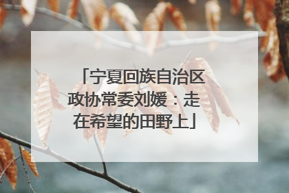 宁夏回族自治区政协常委刘媛：走在希望的田野上
