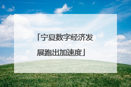 宁夏数字经济发展跑出加速度