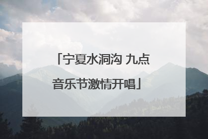 宁夏水洞沟 九点音乐节激情开唱