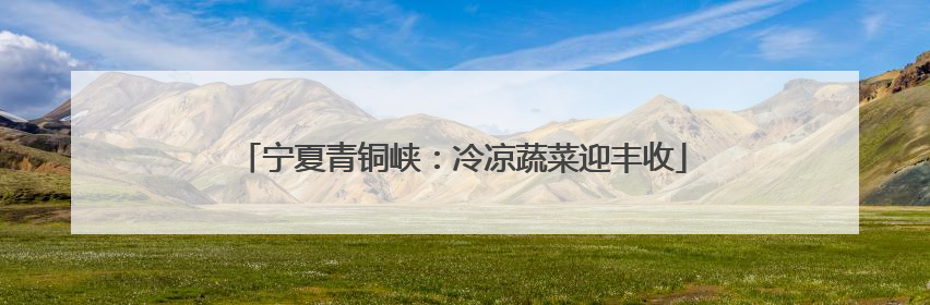 宁夏青铜峡：冷凉蔬菜迎丰收