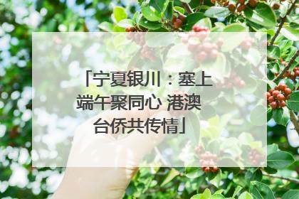 宁夏银川：塞上端午聚同心 港澳台侨共传情