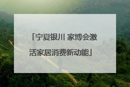 宁夏银川 家博会激活家居消费新动能