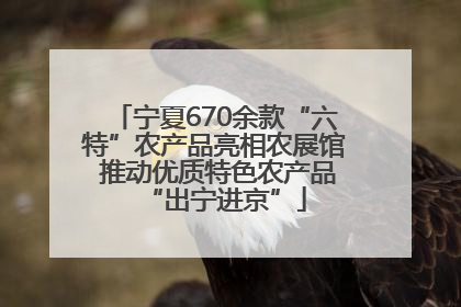 宁夏670余款“六特”农产品亮相农展馆 推动优质特色农产品“出宁进京”