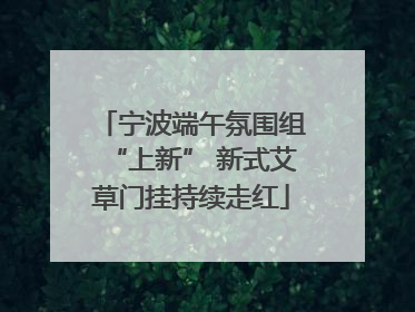 宁波端午氛围组“上新” 新式艾草门挂持续走红