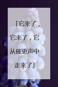 它来了，它来了，它从催更声中走来了