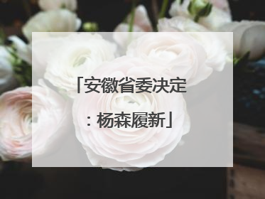 安徽省委决定：杨森履新
