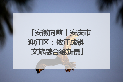安徽向前丨安庆市迎江区：依江成链 文旅融合绘新景