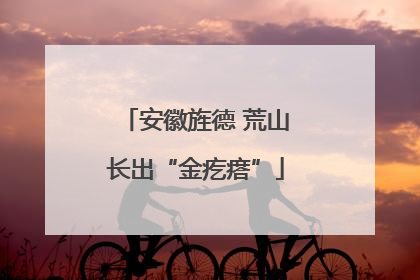 安徽旌德 荒山长出“金疙瘩”