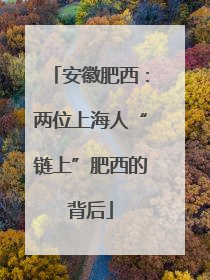 安徽肥西：两位上海人“链上”肥西的背后
