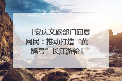 安庆文旅部门回复网民：推动打造“黄鹄号”长江游轮