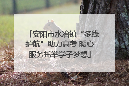 安阳市水冶镇“多线护航”助力高考 暖心服务托举学子梦想