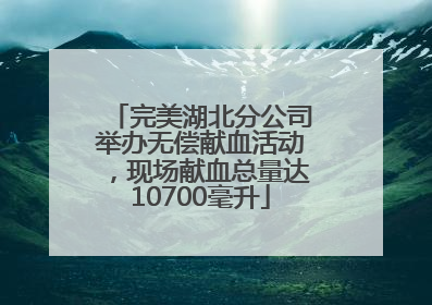 完美湖北分公司举办无偿献血活动，现场献血总量达10700毫升