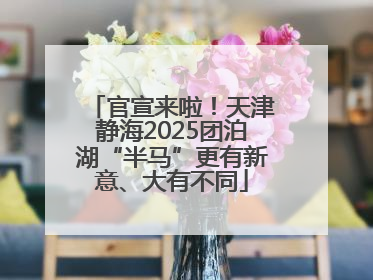 官宣来啦！天津静海2025团泊湖“半马”更有新意、大有不同