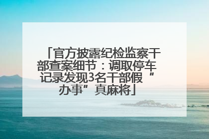 官方披露纪检监察干部查案细节：调取停车记录发现3名干部假“办事”真麻将