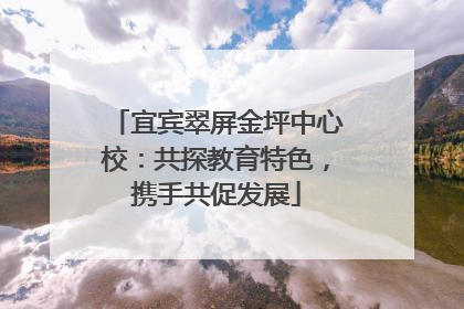 宜宾翠屏金坪中心校：共探教育特色，携手共促发展