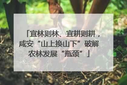 宜林则林、宜耕则耕，咸安“山上换山下”破解农林发展“瓶颈”