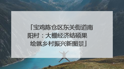 宝鸡陈仓区东关街道南阳村：大棚经济结硕果 绘就乡村振兴新图景