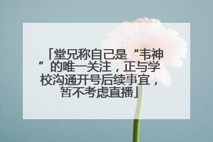 堂兄称自己是“韦神”的唯一关注，正与学校沟通开号后续事宜，暂不考虑直播