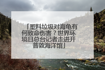 塑料垃圾对海龟有何致命伤害？世界环境日总台记者走进开普敦海洋馆