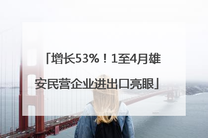 增长53%！1至4月雄安民营企业进出口亮眼