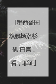 墨西哥国旗飘扬洛杉矶 白宫：看，罪证