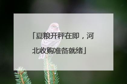 夏粮开秤在即，河北收购准备就绪