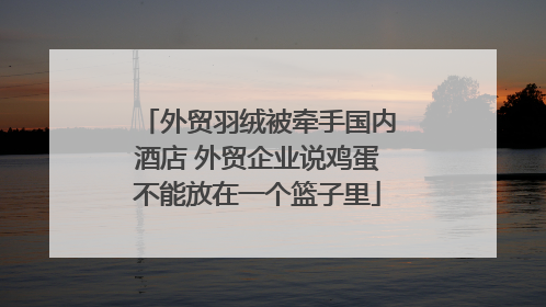 外贸羽绒被牵手国内酒店 外贸企业说鸡蛋不能放在一个篮子里