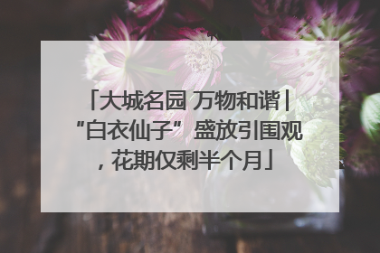 大城名园 万物和谐│“白衣仙子”盛放引围观，花期仅剩半个月