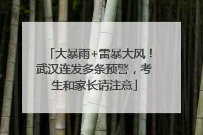 大暴雨+雷暴大风！武汉连发多条预警，考生和家长请注意