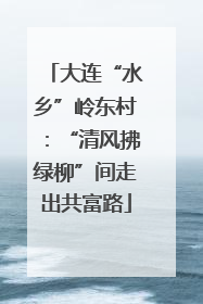 大连“水乡”岭东村：“清风拂绿柳”间走出共富路