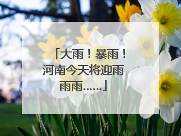 大雨！暴雨！河南今天将迎雨雨雨……