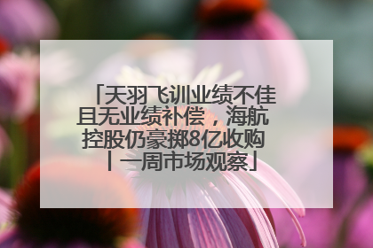 天羽飞训业绩不佳且无业绩补偿，海航控股仍豪掷8亿收购丨一周市场观察