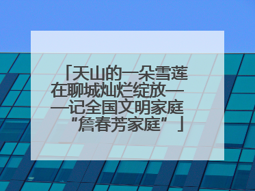 天山的一朵雪莲在聊城灿烂绽放——记全国文明家庭“詹春芳家庭”