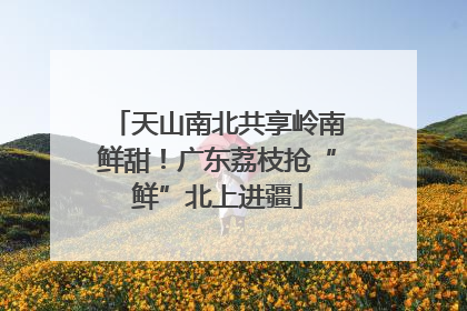 天山南北共享岭南鲜甜！广东荔枝抢“鲜”北上进疆