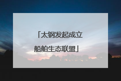 太钢发起成立船舶生态联盟