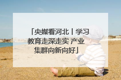 央媒看河北丨学习教育走深走实 产业集群向新向好