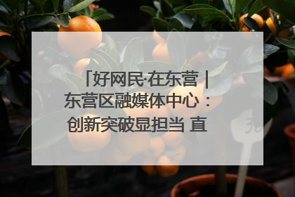 好网民·在东营｜东营区融媒体中心：创新突破显担当 直播赋能谱华章