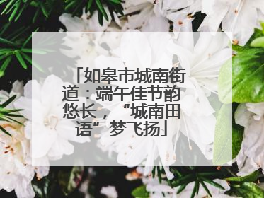 如皋市城南街道：端午佳节韵悠长，“城南田语”梦飞扬