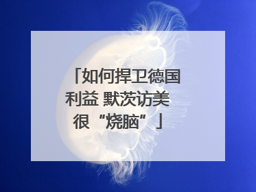 如何捍卫德国利益 默茨访美很“烧脑”