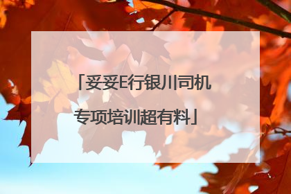 妥妥E行银川司机专项培训超有料