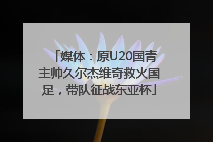 媒体：原U20国青主帅久尔杰维奇救火国足，带队征战东亚杯