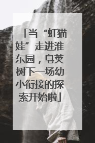 当“虹猫娃”走进淮东园，皂荚树下一场幼小衔接的探索开始啦