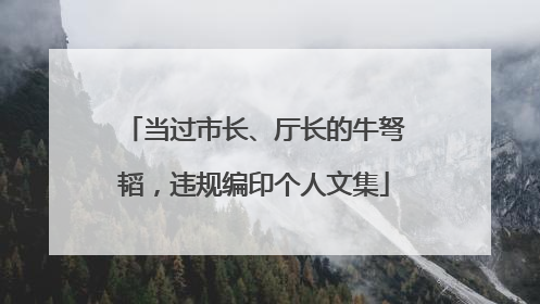 当过市长、厅长的牛弩韬，违规编印个人文集