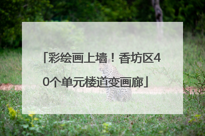 彩绘画上墙！香坊区40个单元楼道变画廊