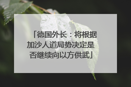 德国外长：将根据加沙人道局势决定是否继续向以方供武