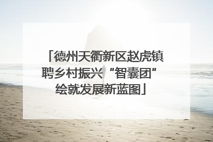 德州天衢新区赵虎镇聘乡村振兴“智囊团” 绘就发展新蓝图